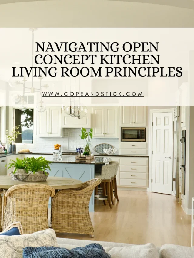 Navigating Open Concept Kitchen Living Room Principles