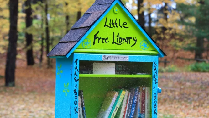 colorful little free library
